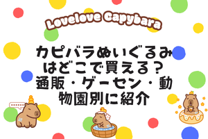 カピバラぬいぐるみはどこで買える?通販・ゲーセン・動物園別に紹介