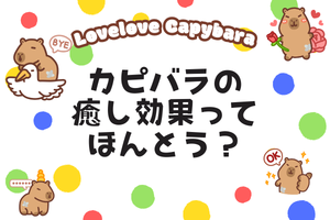 カピバラの癒し効果ってほんとう?なぜ見ているだけでほっとするのか検証!