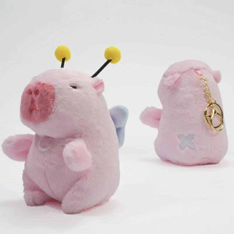 チャビマル カシオペア