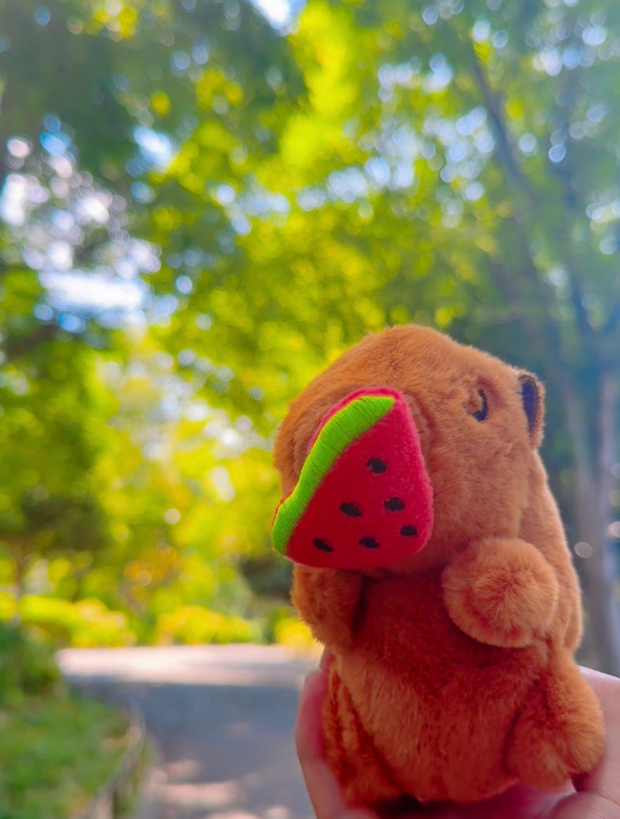 🍉暑い日は木陰でひと休み。カピバラと一緒に涼しい夏を♪
