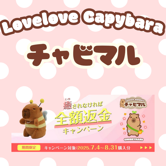 ［お知らせ］楽天でチャビマルの「癒されなければ全額返金キャンペーン」をスタートしました！