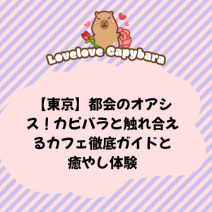 【東京】都会のオアシス！カピバラと触れ合えるカフェ徹底ガイドと癒やし体験