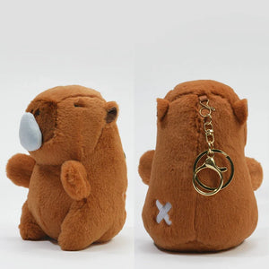 チャビマル パイシーズ