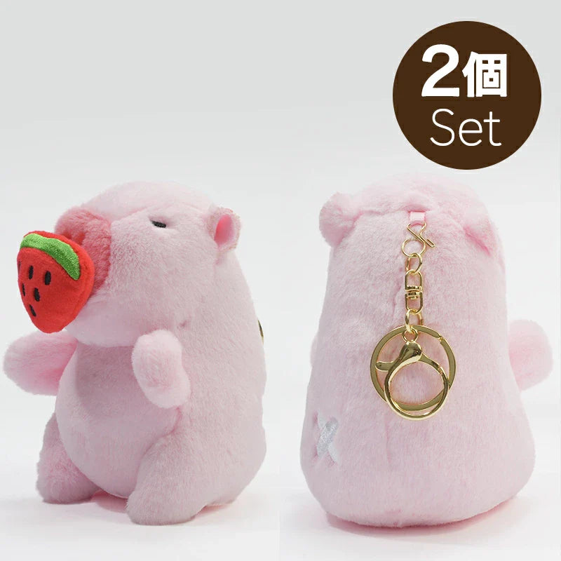 チャビマル アクィラ 2個セット