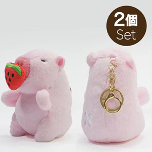 チャビマル アクィラ 2個セット