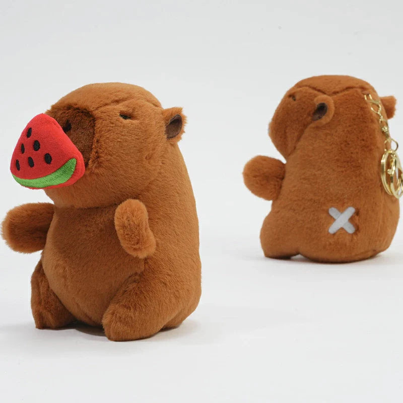 チャビマル アクエリアス